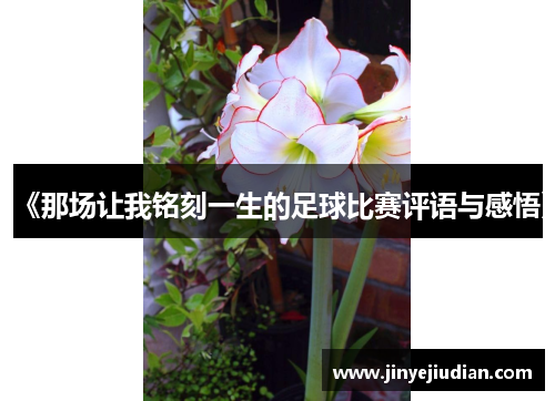 《那场让我铭刻一生的足球比赛评语与感悟》