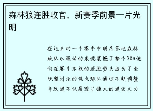 森林狼连胜收官，新赛季前景一片光明